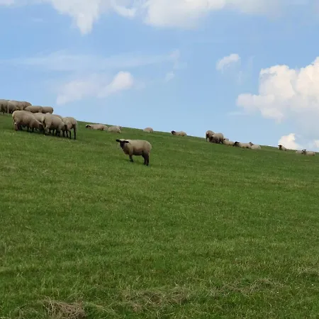 Ferienhaus Haus Carpe Diem