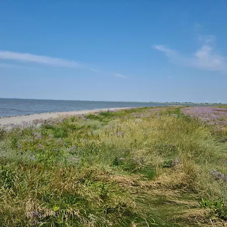 Haus Carpe Diem 別荘 Schweiburg