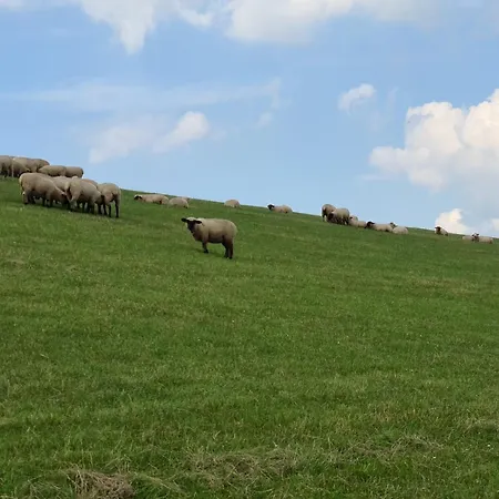 Haus Carpe Diem Schweiburg